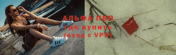 шишки Каменногорск