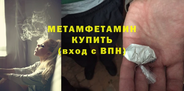 шишки Каменногорск