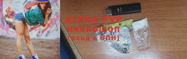 шишки Каменногорск