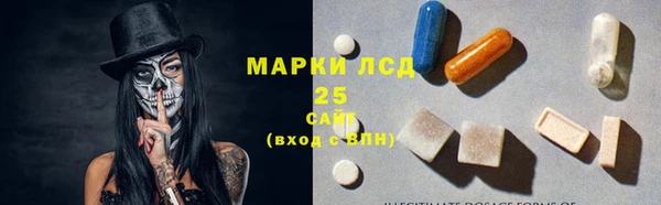 шишки Каменногорск