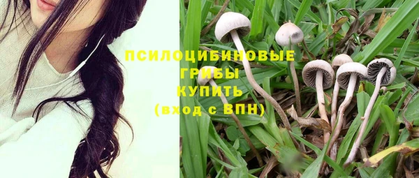 крисы Каменск-Шахтинский
