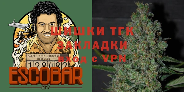 шишки Каменногорск