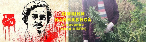 крисы Каменск-Шахтинский