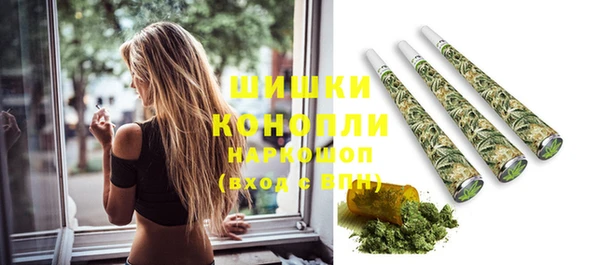 шишки Каменногорск
