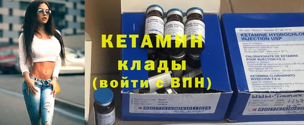 шишки Каменногорск