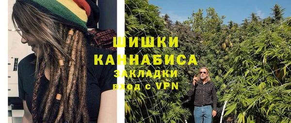 шишки Каменногорск